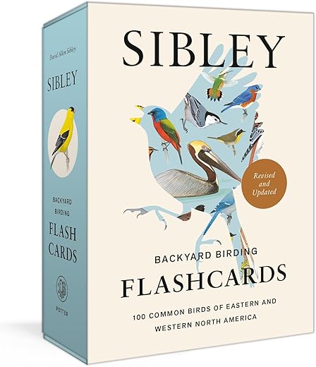 Backyard Birding & Wildlife