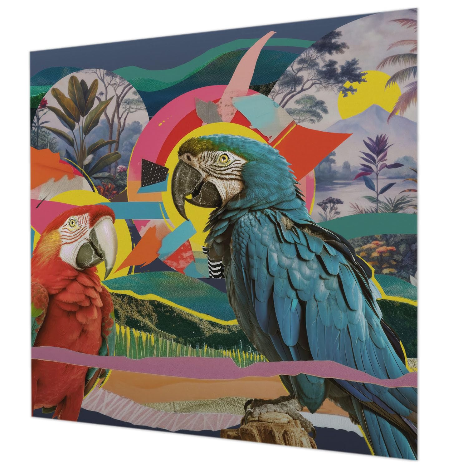 Tapisserie intissée de 250x250 cm papier peint oiseaux exotiques avec colle
