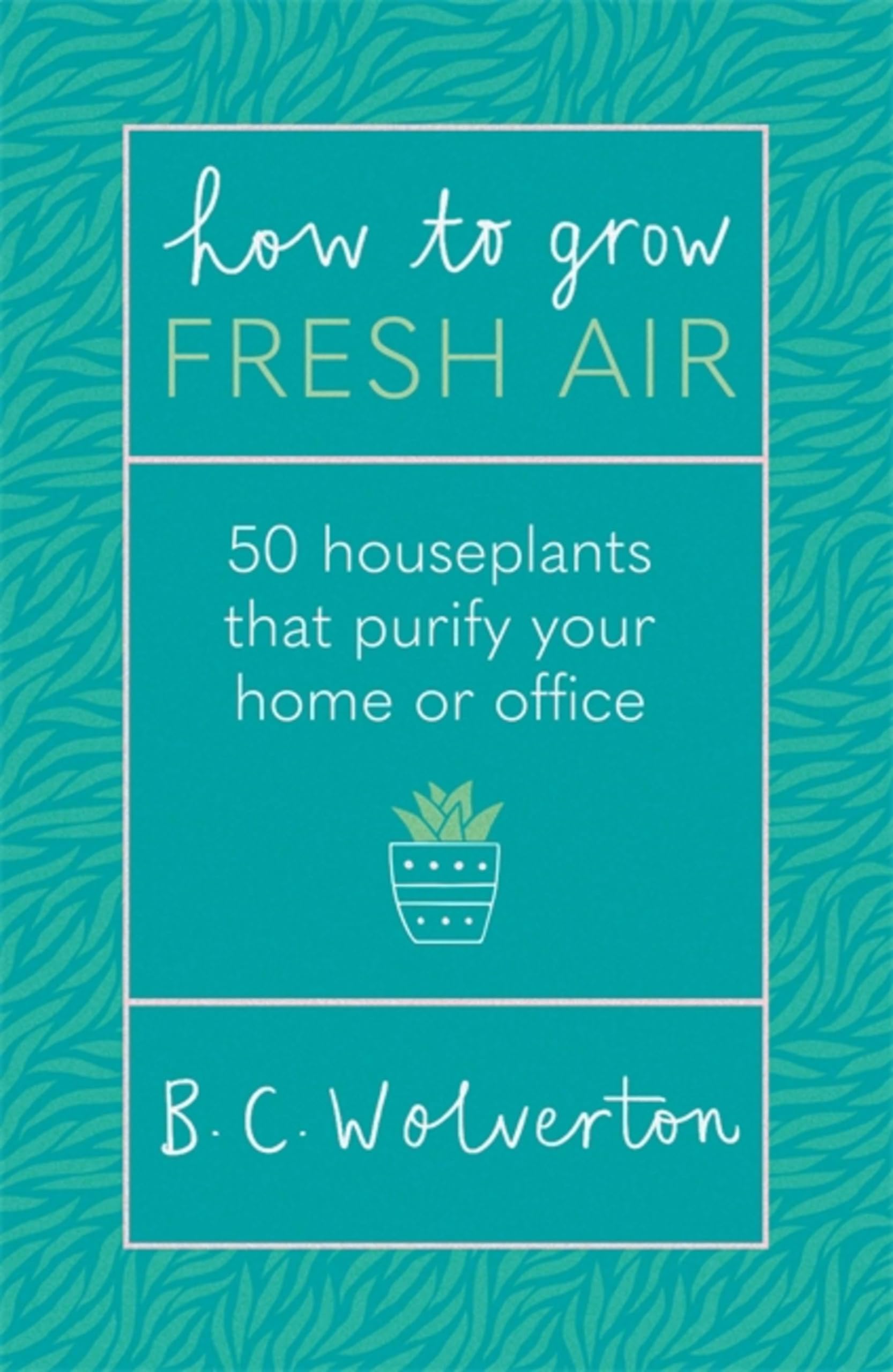 How To Grow Fresh Air: 50 Houseplants To Purify Your Home Or Office