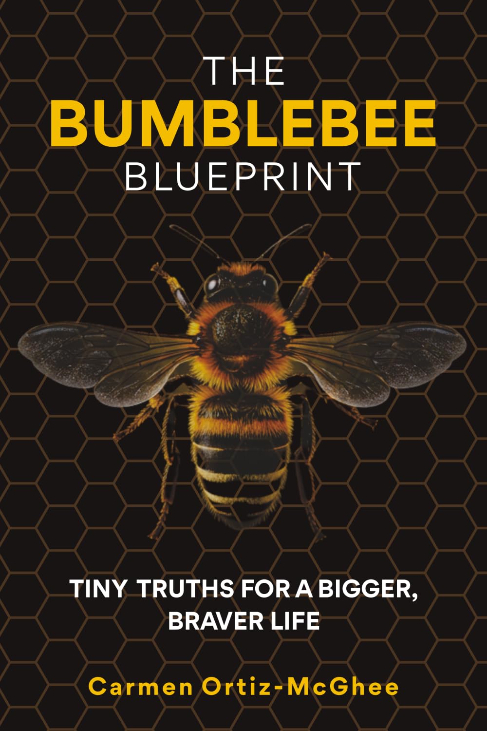 The Bumblebee Blueprint: Tiny Truths for a Bigger, Braver Life