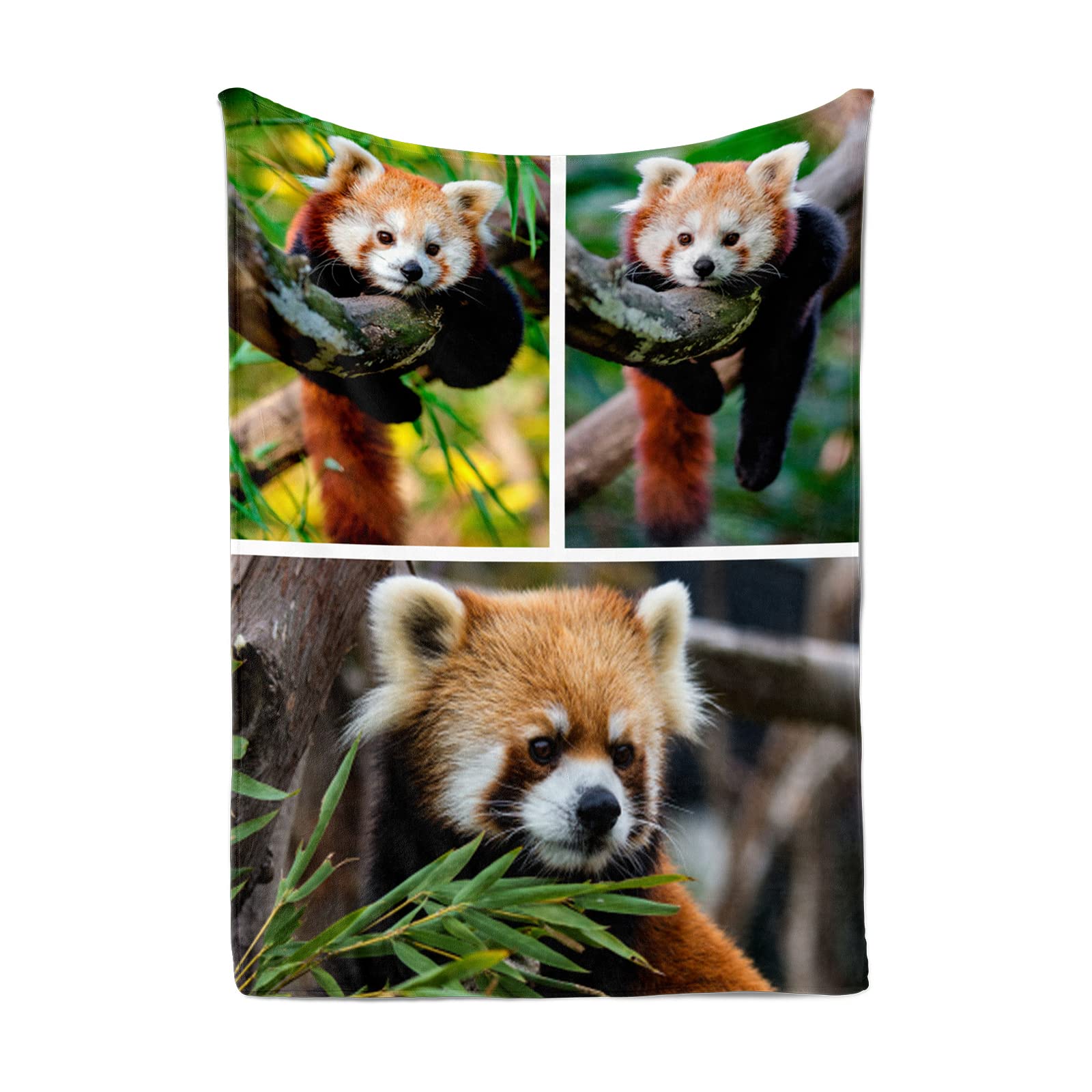 TmalltideCustom Pet Blanket with Photos and Text Collage, Personalized Picture Throw Blankets Custom for Dog Cat Pet Gift Custom Blanket (3 Photos, 32 x 48 inch(80 x 120cm))
