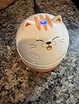 Review Image by Amazon Customer