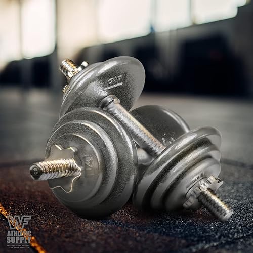 Miniatura 5 de WF Athletic Supply Placas de pesas tradicionales y clásicas de hierro fundido sólido de 1 pulgada, ideales para entrenamiento de fuerza,