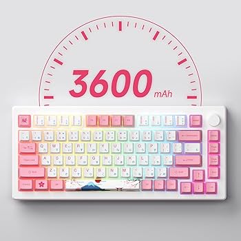 akko様 Amazon.com: Akko Magnetic Switches Rapid Trigger Gaming
