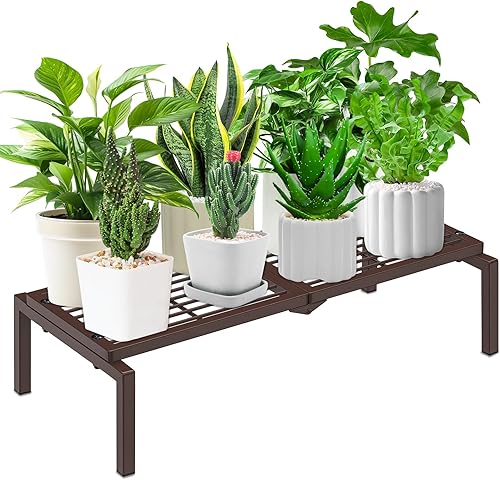 Soporte de metal para plantas de 1 nivel para interiores y exteriores, soporte para múltiples macetas en maceta, estante para plantas, estantería de