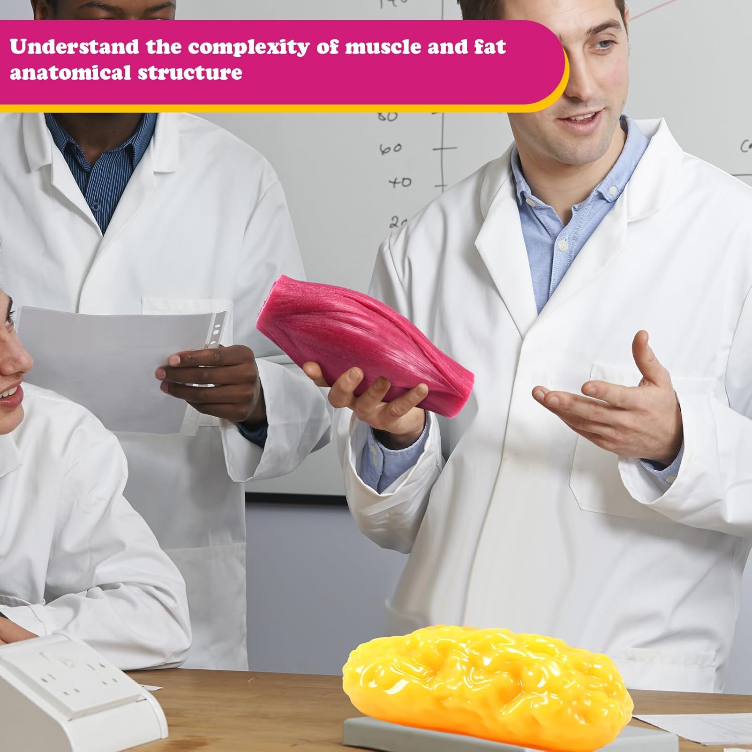 Chunful Human Body Muscle 0.8lb & Fat Replica1.3 lb with Display Base Realistic Anatomic Muscle Tissue & Fat Model Demonstration for Anatomy, Physiology, Science & Technology Students