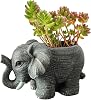 Plant Pot Garden Planter Desktop Ornament Cactus Succulent Flower Pots for Home Office Decor