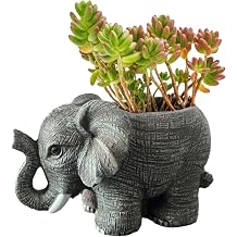 Plant Pot Garden Planter Desktop Ornament Cactus Succulent Flower Pots for Home Office Decor