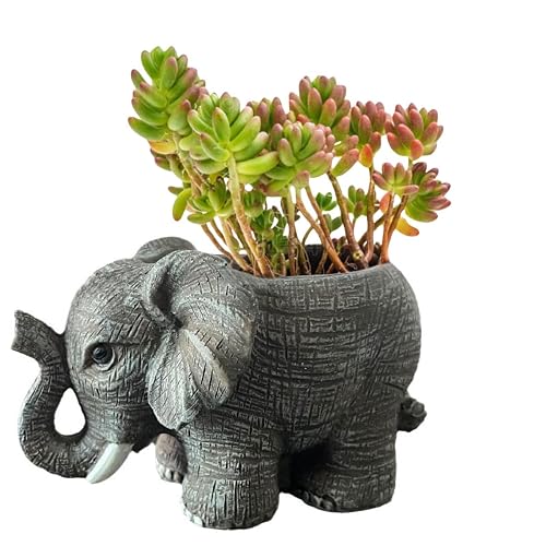 Wjwumha Plant Pot Garden Planter Desktop Ornament Cactus Succulent Flower Pots for Home Office Decor