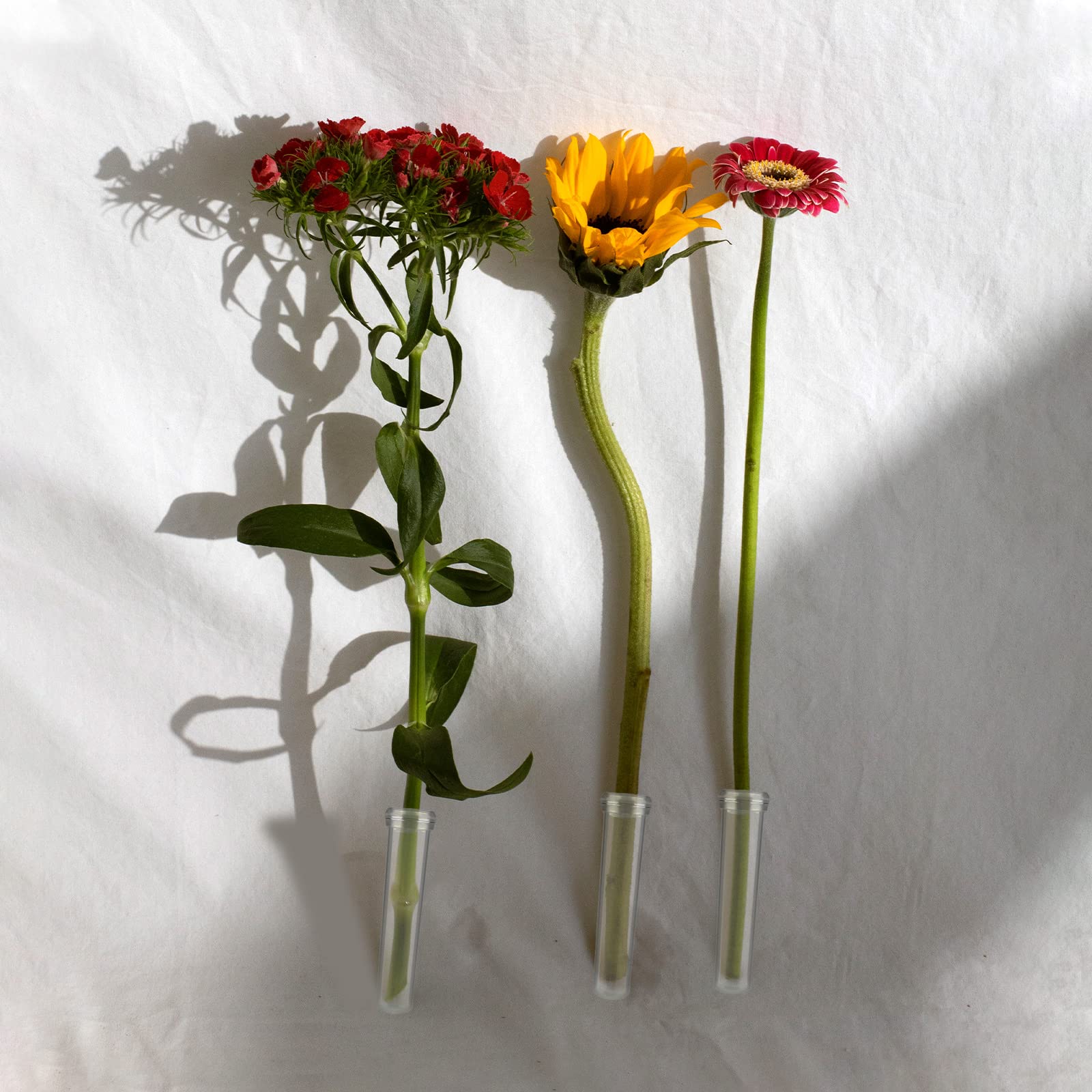 10 Provette Plastica Per Fiori Con Tappi - Tubi Riutilizzabili Per Composizioni - Foto 6