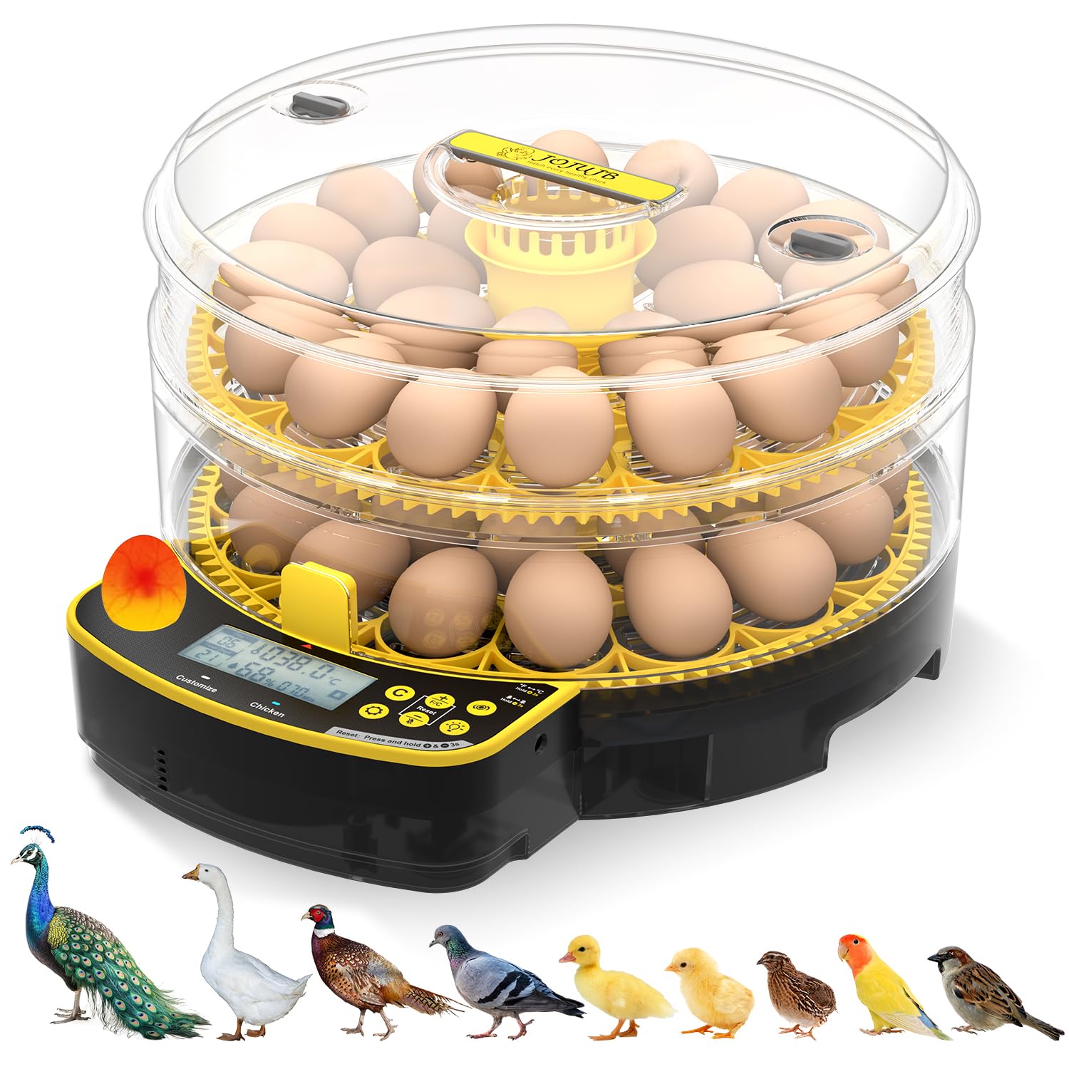 孵化器、ケージ Amazon.com: JUJOJB 48 Egg Incubator for Hatching Eggs, Double