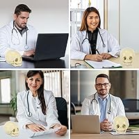 Vista 8 de Modelo anatómico de calavera humana – Modelo de cráneo de anatomía de cabeza esqueleto, modelo de 5.5 pulgadas para enseñanza médica, aprendizaje