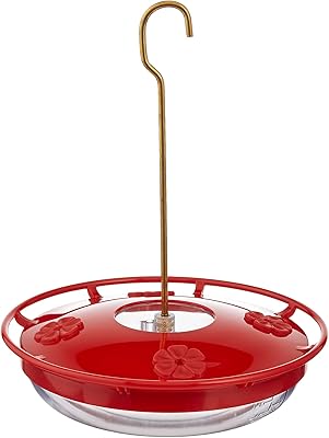 Amazon Com Aspects Hummzinger Highview 12 Oz Hanging Hummingbird