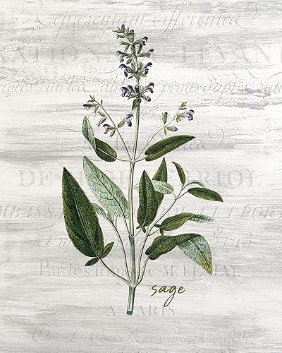 Posterazzi PDXKARC2658BLARGE Obra de arte, grande, multicolor