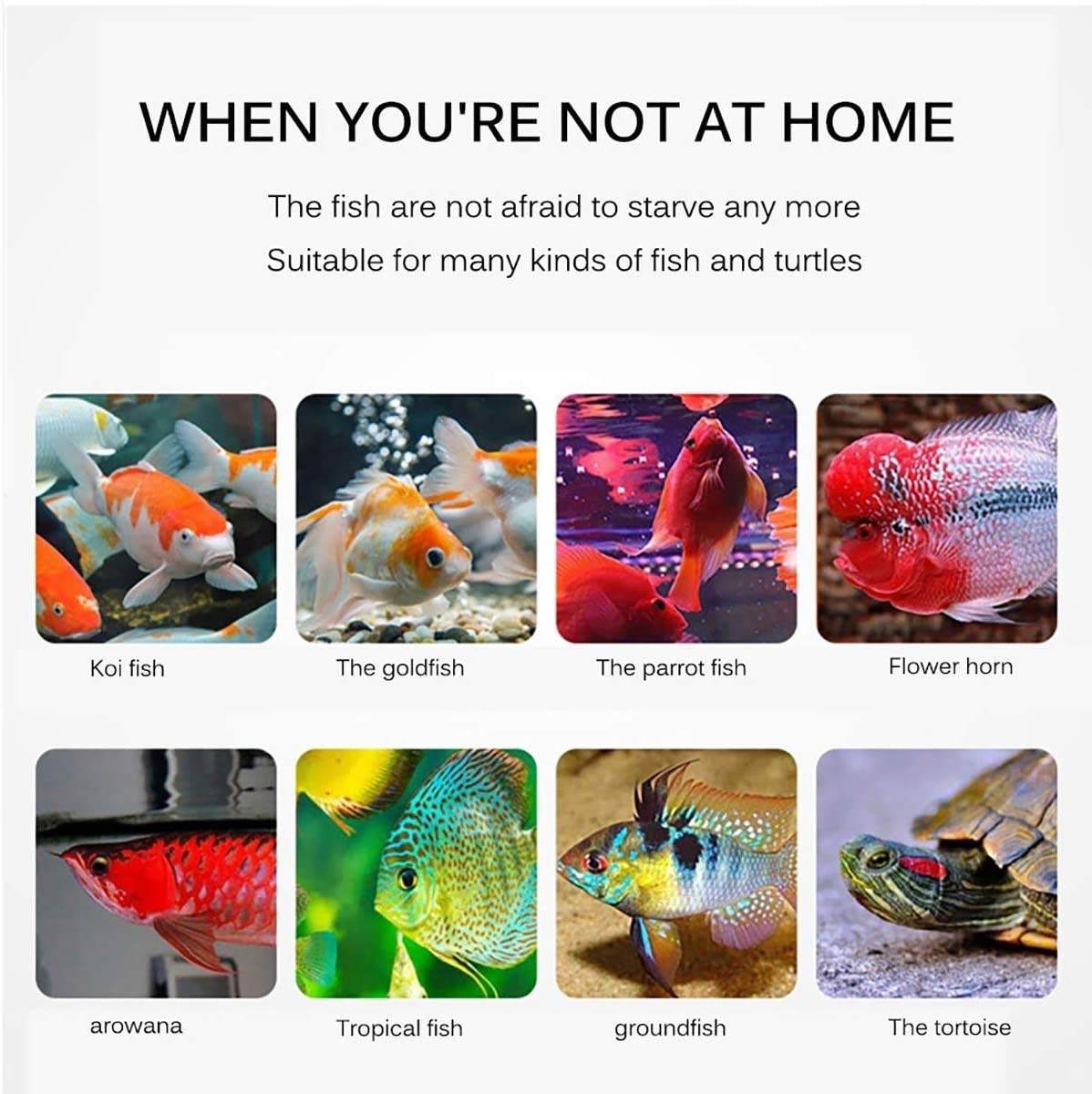 Alimentatore Automatico di Pesce, Alimentatore di Tartaruga di Pesce Auto per Acquario e Serbatoio di Pesce, Timer Alimentatore di Pesce Alimentatore Cibo Cibo, 280ml