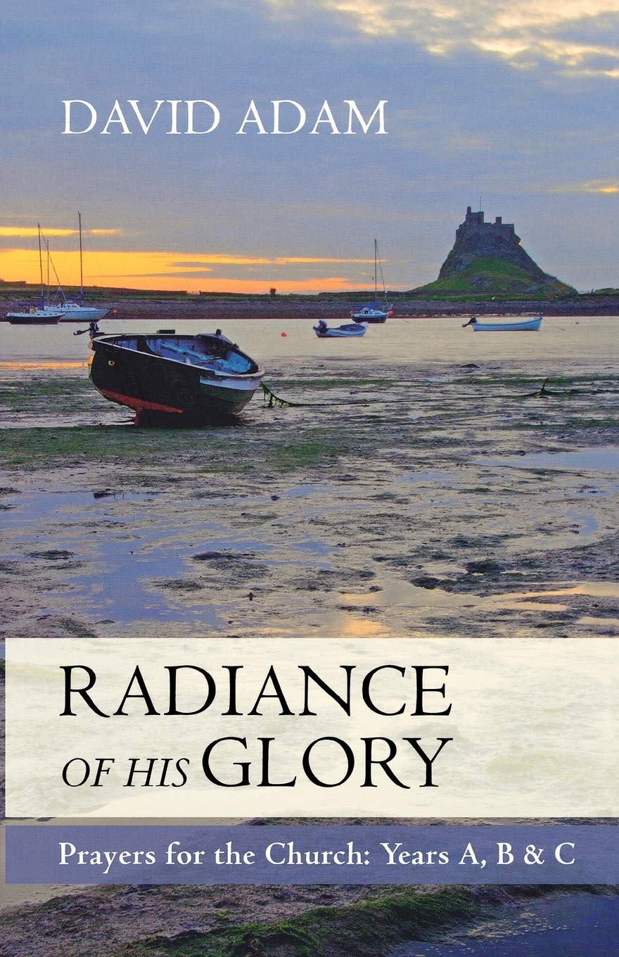 The Radiance of His Glory by The Revd Canon Adam David PAPERBACK 9780281061969