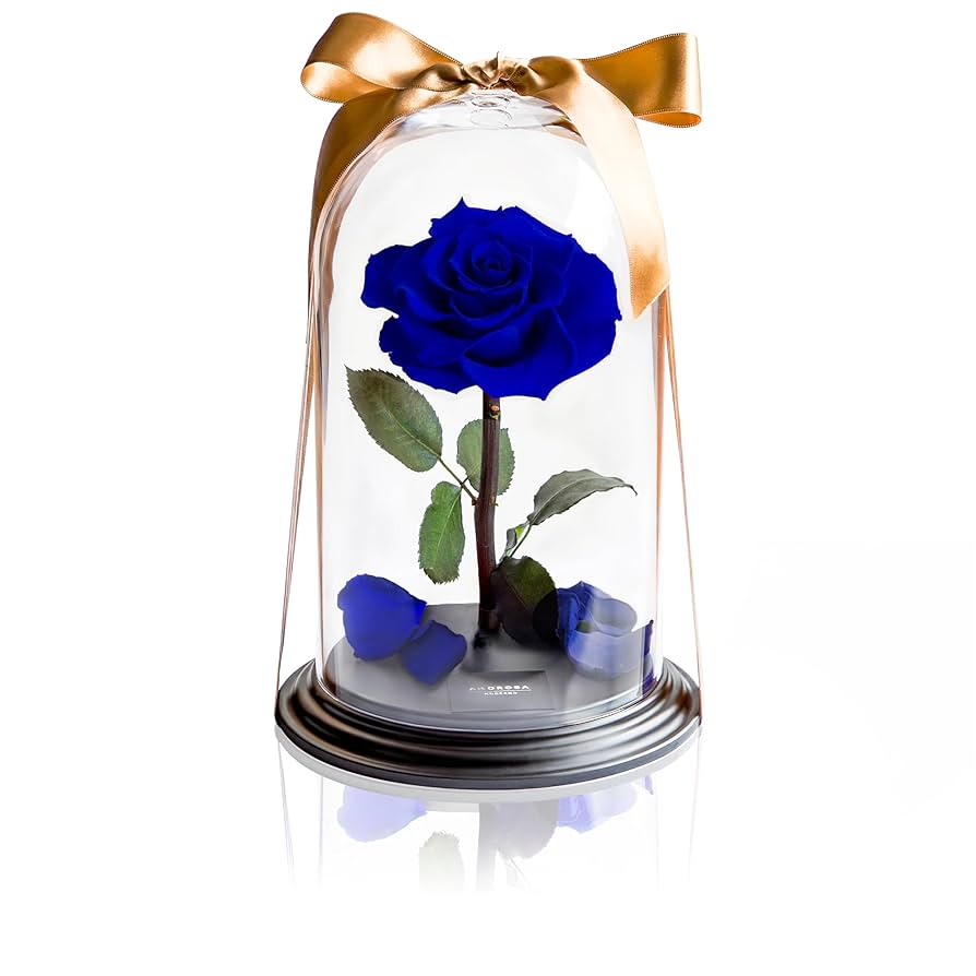Blue薔薇様のorderのお品です。 希少モデル 極美品 バルスター スタジャン ゴートスキン 異素材