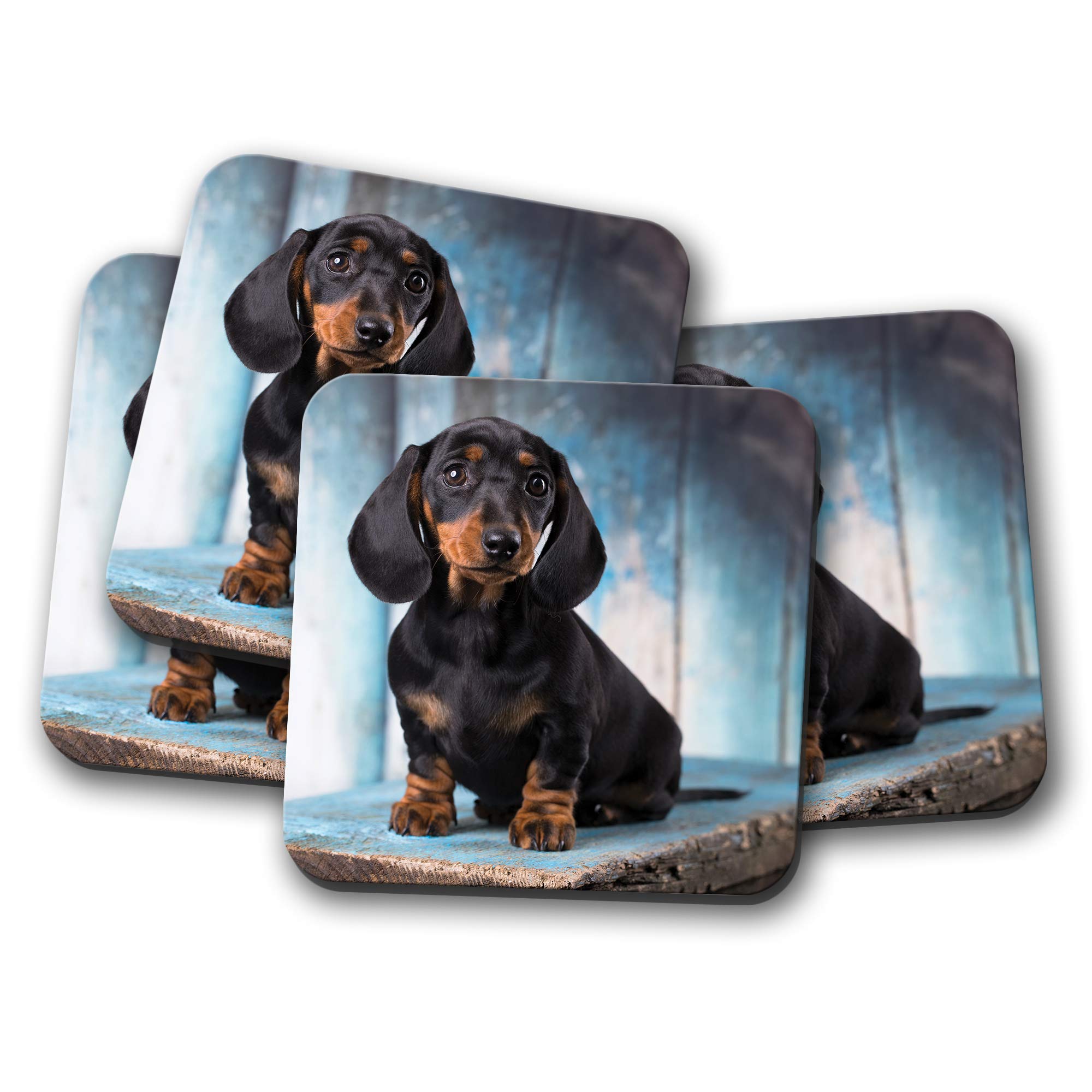 Destination Vinyl Ltd Multicolor Set - German Breed Dachshund Coaster - Sausage Cute Puppy Dog Pets #16342 Size 4