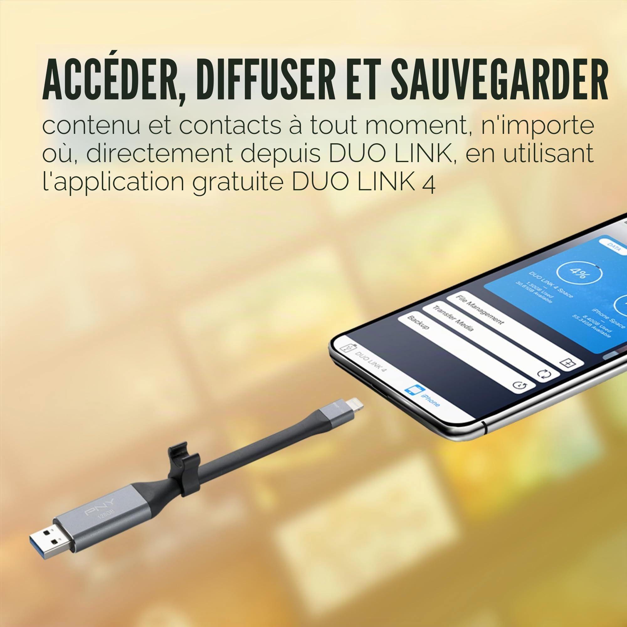 PNY P-FDI64GLA02GC-RB Clé USB 3.0 Gris Métallisé 64 Go