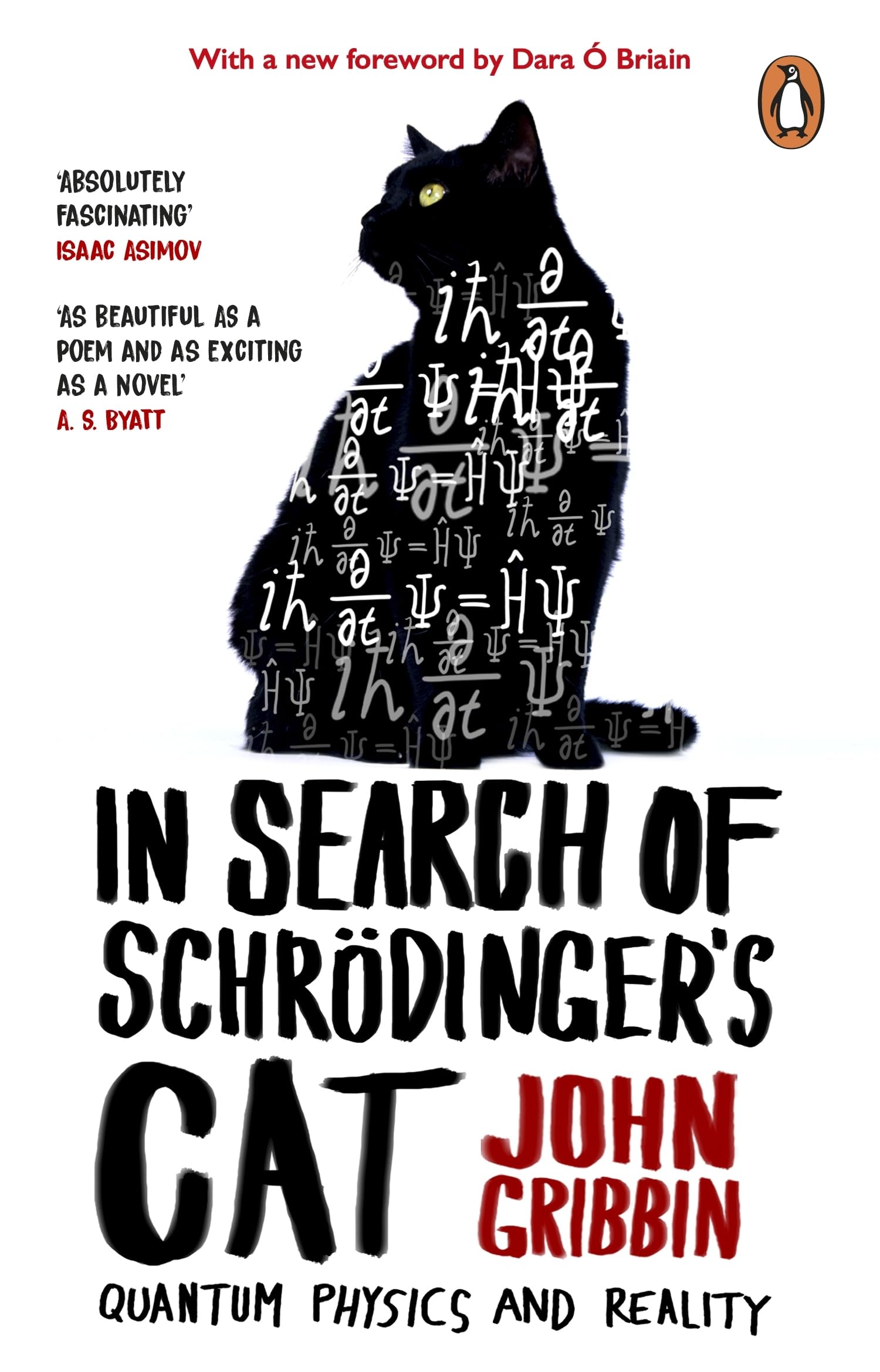In Search Of Schrodinger's Cat: The bestselling classic introduction to quantum physics