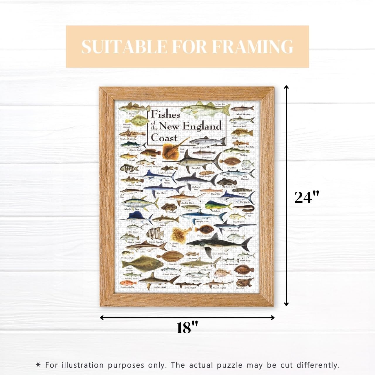 Heritage Puzzle - Fishes of The New England Coast by Diane Peebles - 550 Piece Puzzles for Adults - Ocean Wildlife Jigsaw Puzzles - Coastal Scene Puzzle - 18" x 24" Finished Size