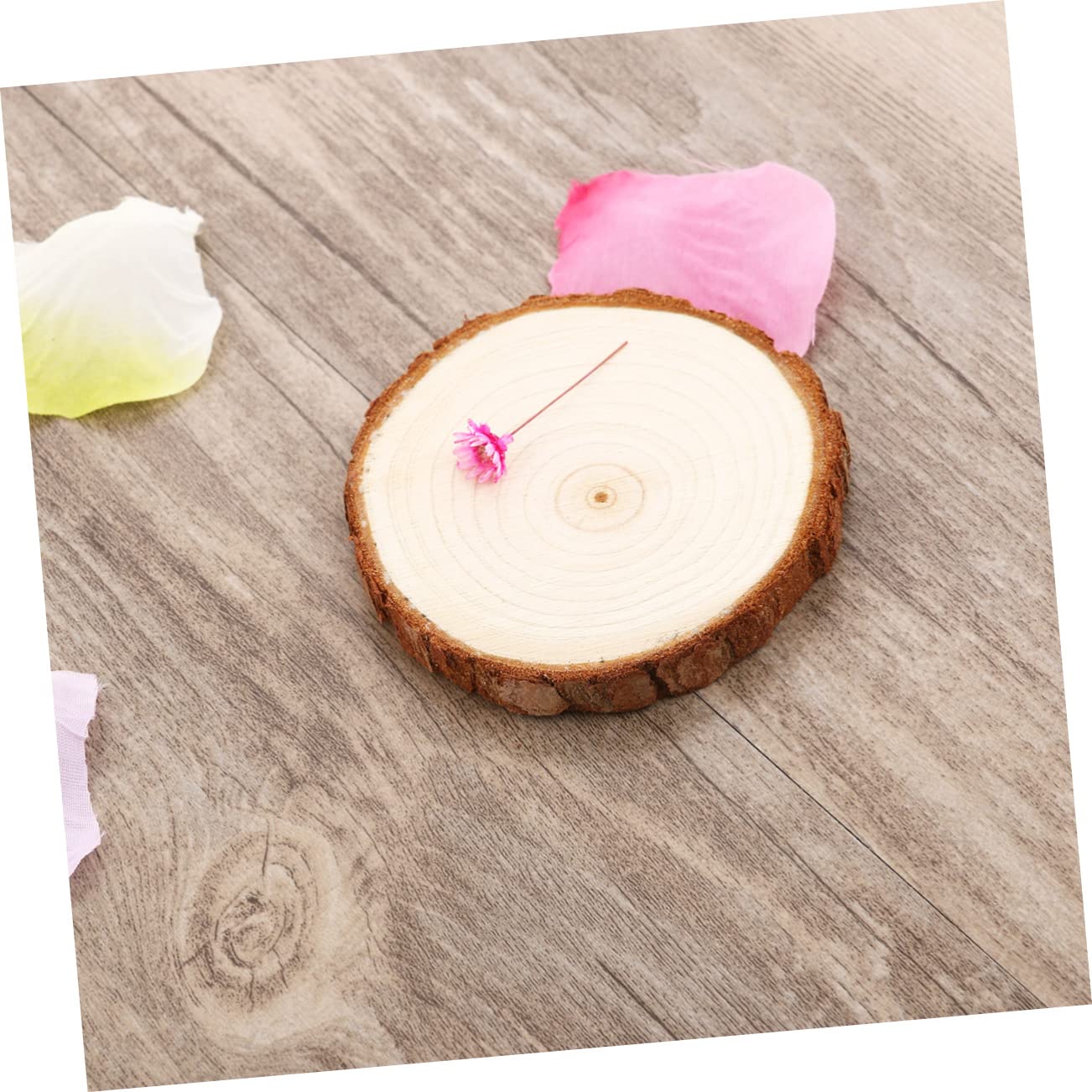NUOBESTY 15stücke Holzscheiben Für Bastelprojekte Natürliche Baumscheiben Für Hochzeitsdekorationen Tischnummern Und Kreative Handarbeiten