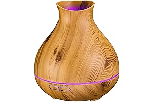 Enrich Your Space with BZseed Wooden Diffuser: A Symphony of Scents