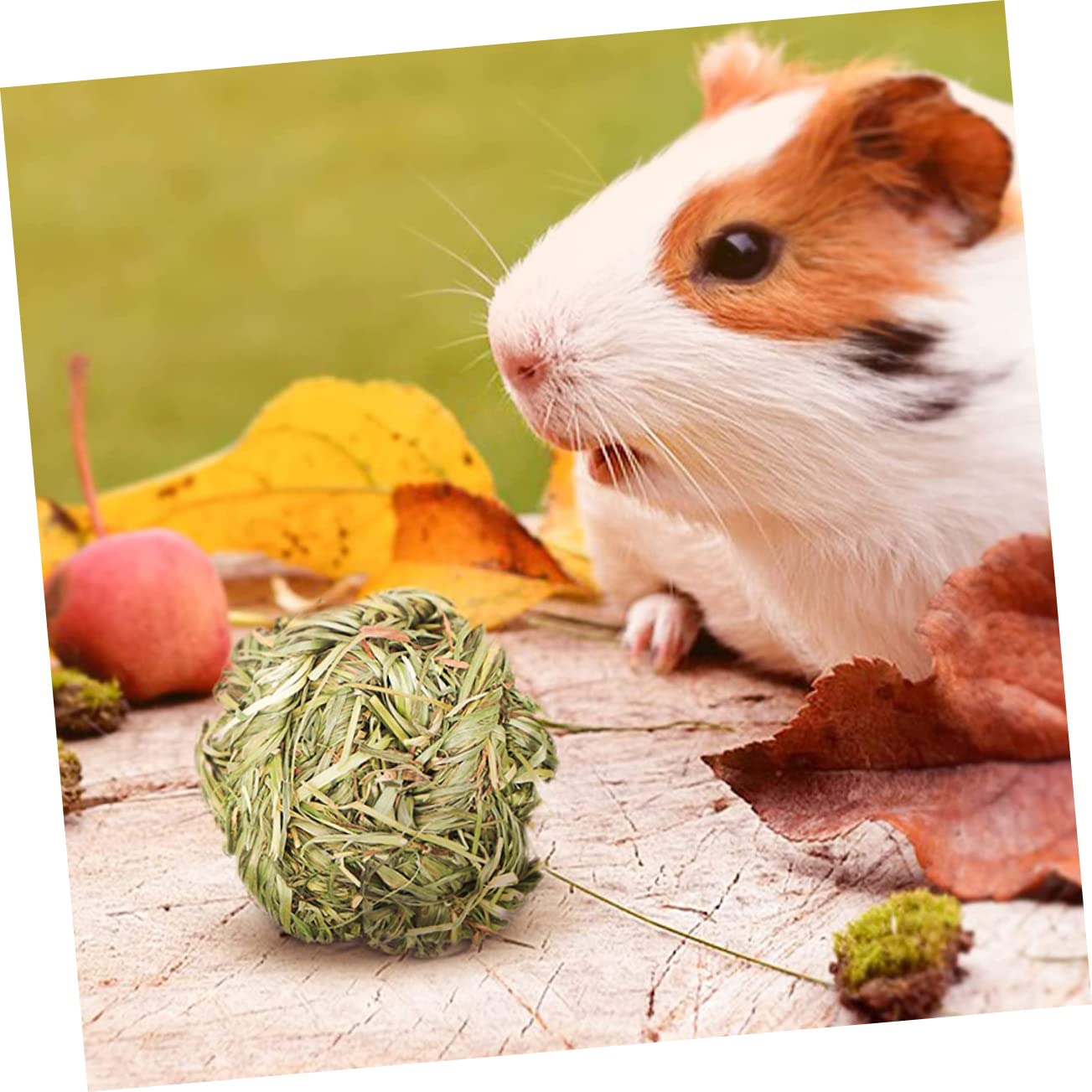 Beaupretty 18pièces Jouets à Mâcher pour Animaux De Compagnie Snacks pour Rongeurs Entraînement De Molarité pour Chinchilla Hamster Et Jouets Herbe pour Petits Animaux