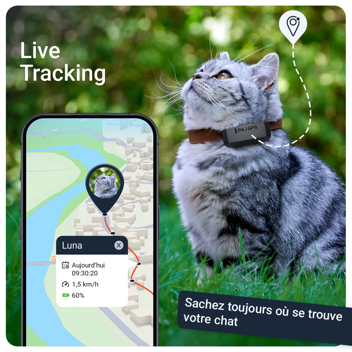 PAJ Traceur GPS 4G Chat Mini + Collier, 3 Mois Abonnement Inclus | Alerte de fugue - Suivi en temps réel - Montage facile et sécurisé - 100% étanche - Adapté chats & chatons