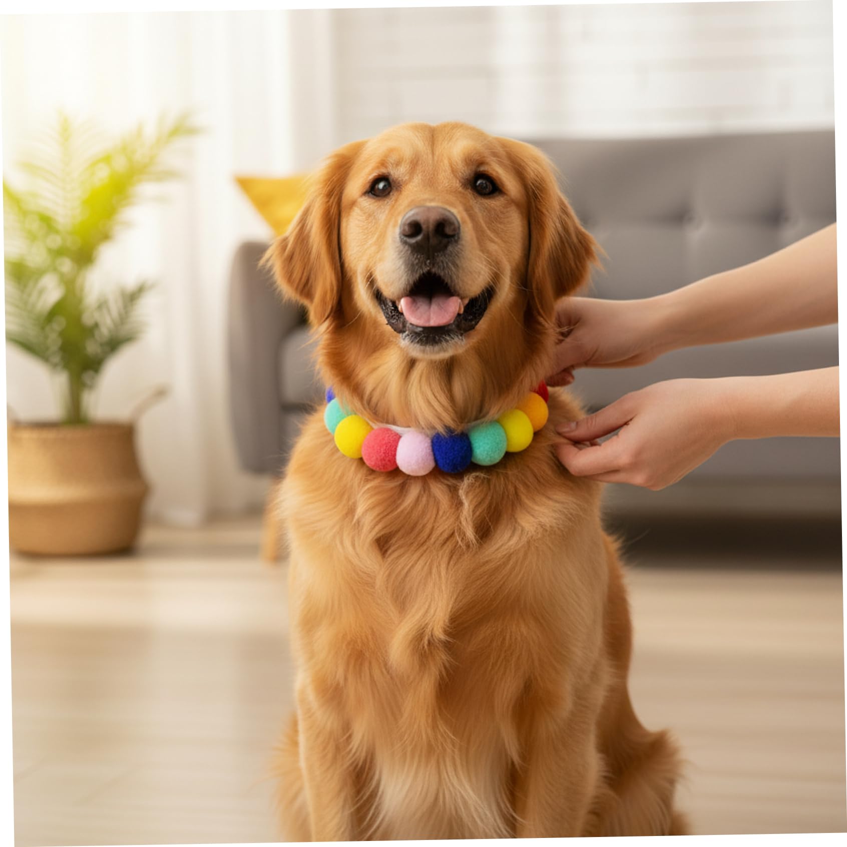 50 Collares de Perro con Cuentas, Collar de Gato elástico Ajustable con pompón Suave para Perros pequeños, Cachorros, Collar de Moda para Mascotas para Fotos y Uso Diario, Gato elástico, Perro con CU