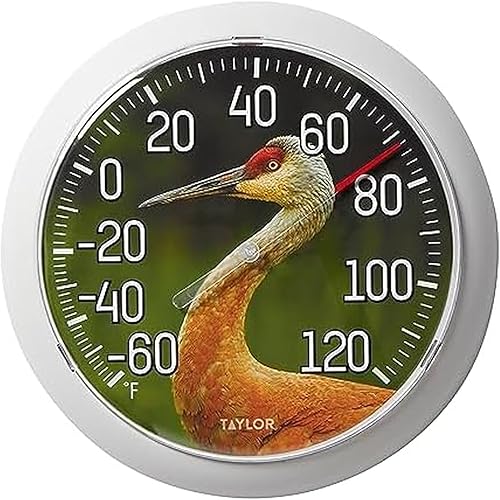Taylor Nature Series Sandhill Crane - Termómetro de esfera para interiores y exteriores, decoración de pared fácil de leer para patio, piscina,