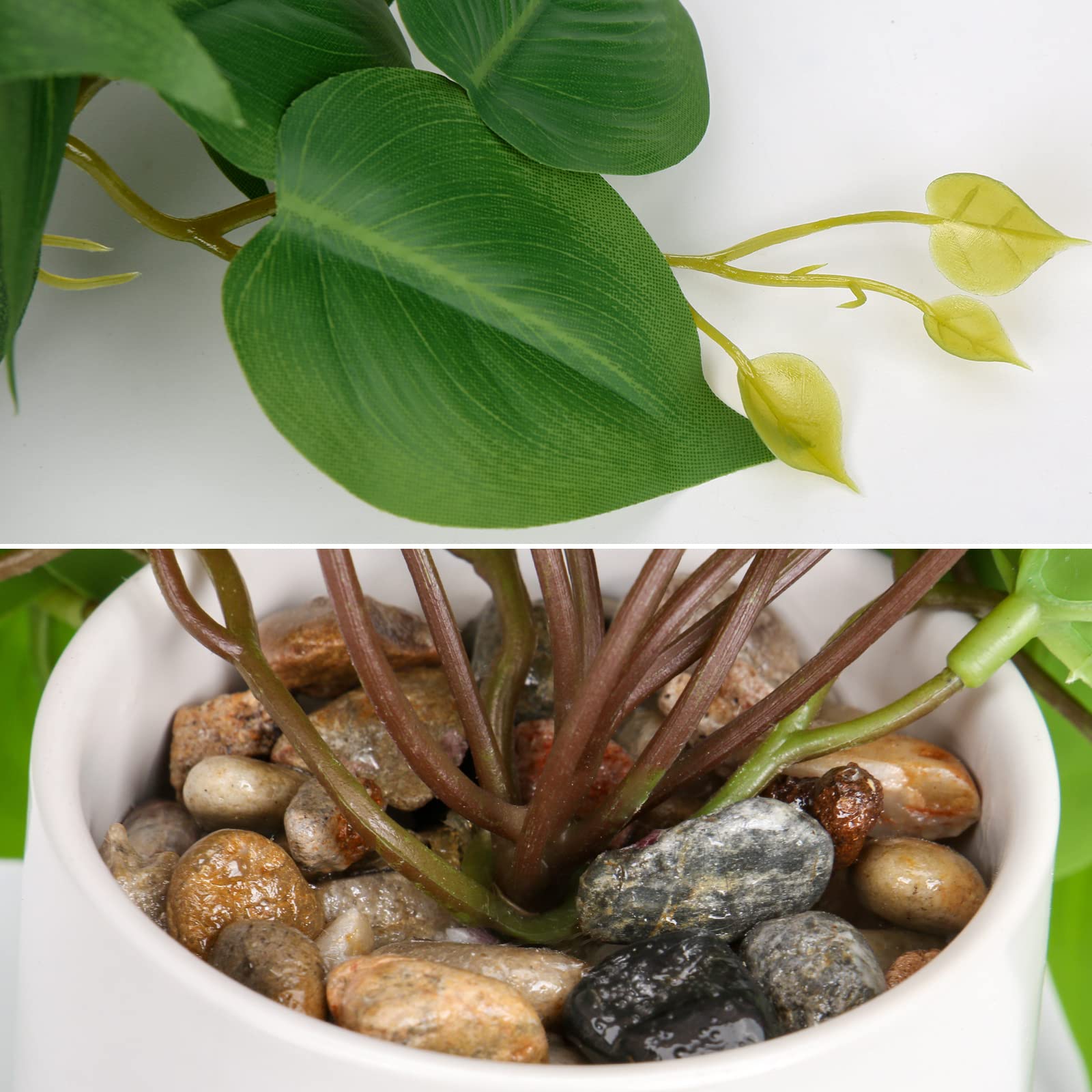 Kunstpflanze Hngend Deko Pflanzen im Keramiktopf Mini Kunstpflanze  Philodendron Dekoration Modern fr Home Office Badezimmer Kche und  Innendekoration: Amazon.de: Garten