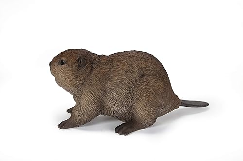 Miniatura 3 de Hi-Line Gift - Estatua de castor americano CUB, color marrón