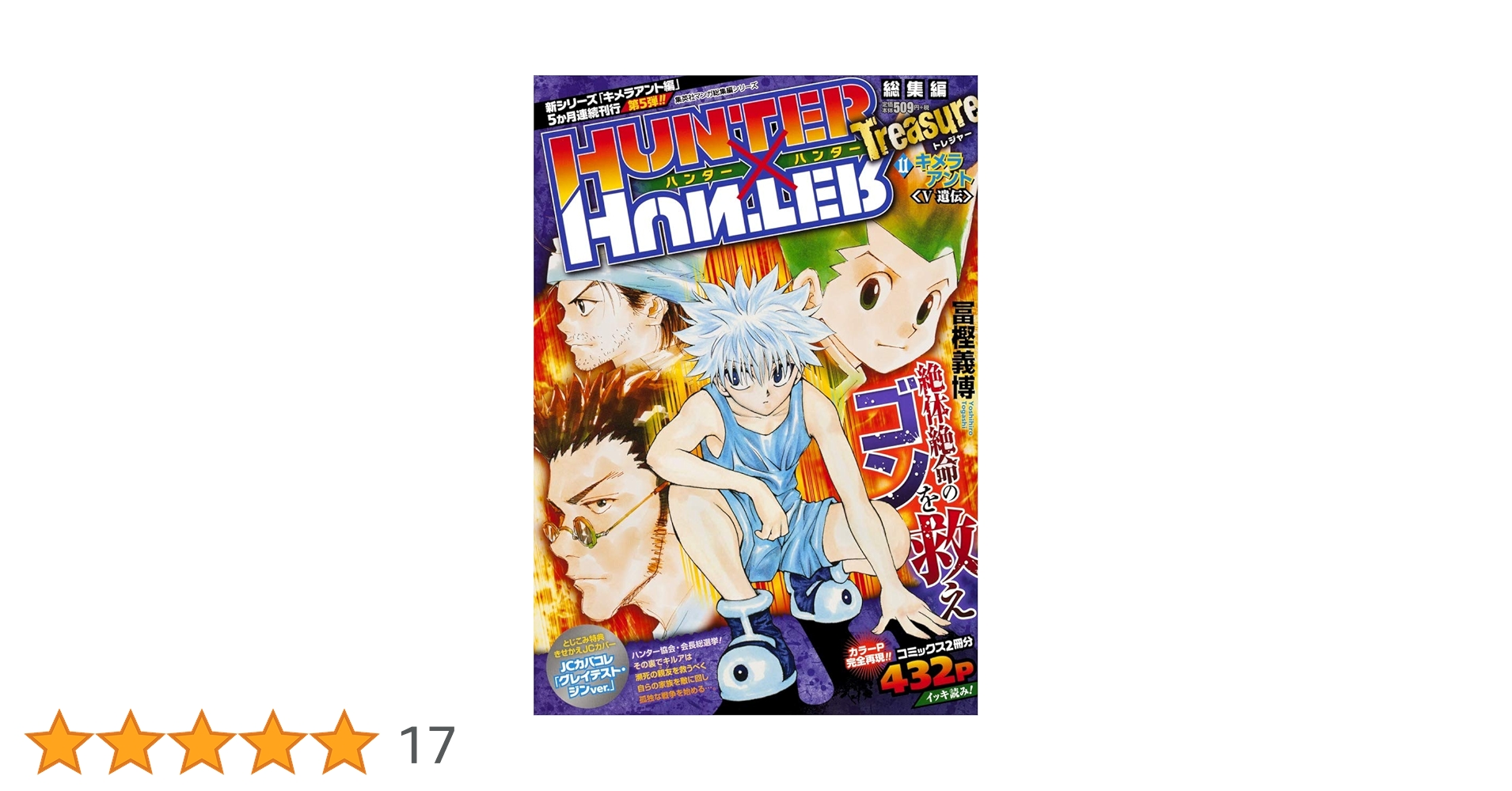 HUNTER×HUNTER総集編 Treasure 11 (集英社マンガ総集編シリーズ