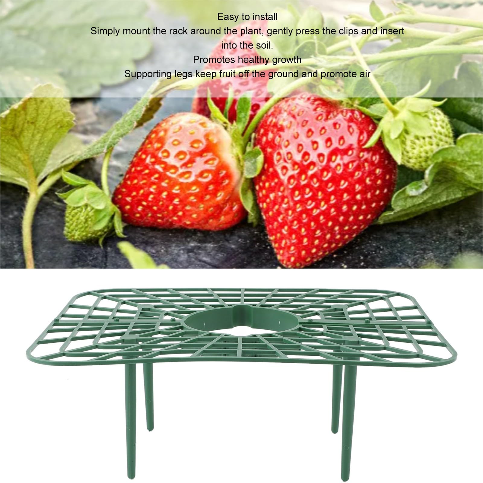 Tuteur Plante,3 Supports à Fraises Pour Conserver Les Fruits Et Légumes