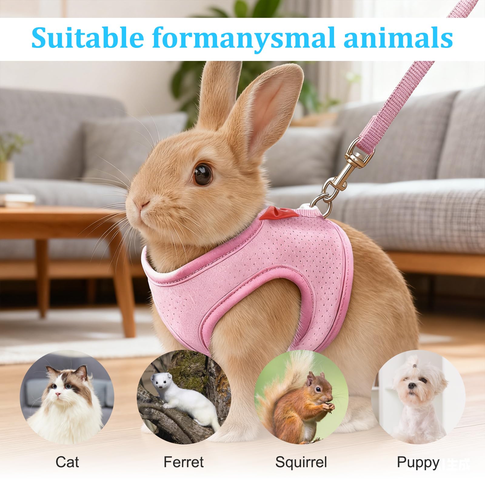 Ensemble harnais et laisse pour lapin - Doux et réglable - Anti-fuite - Avec boucles de sécurité - Pour lapins, chatons, cochons d'Inde, taille S