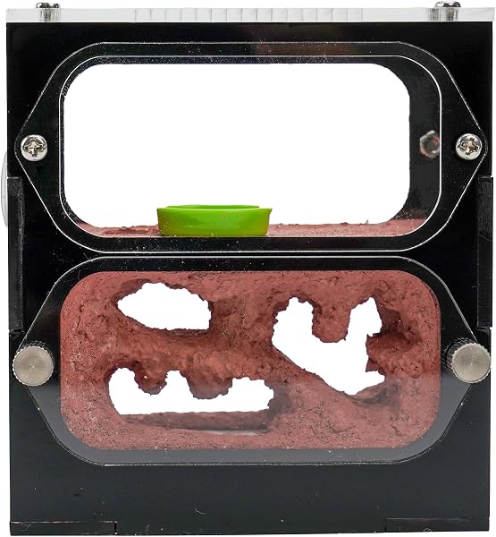 Terra Core Series – DualView S Ant Farm for Live Ants, Small Colony Acrylic Formicarium with Outworld, Beginner Ant Nest Habitat for Observation - 4