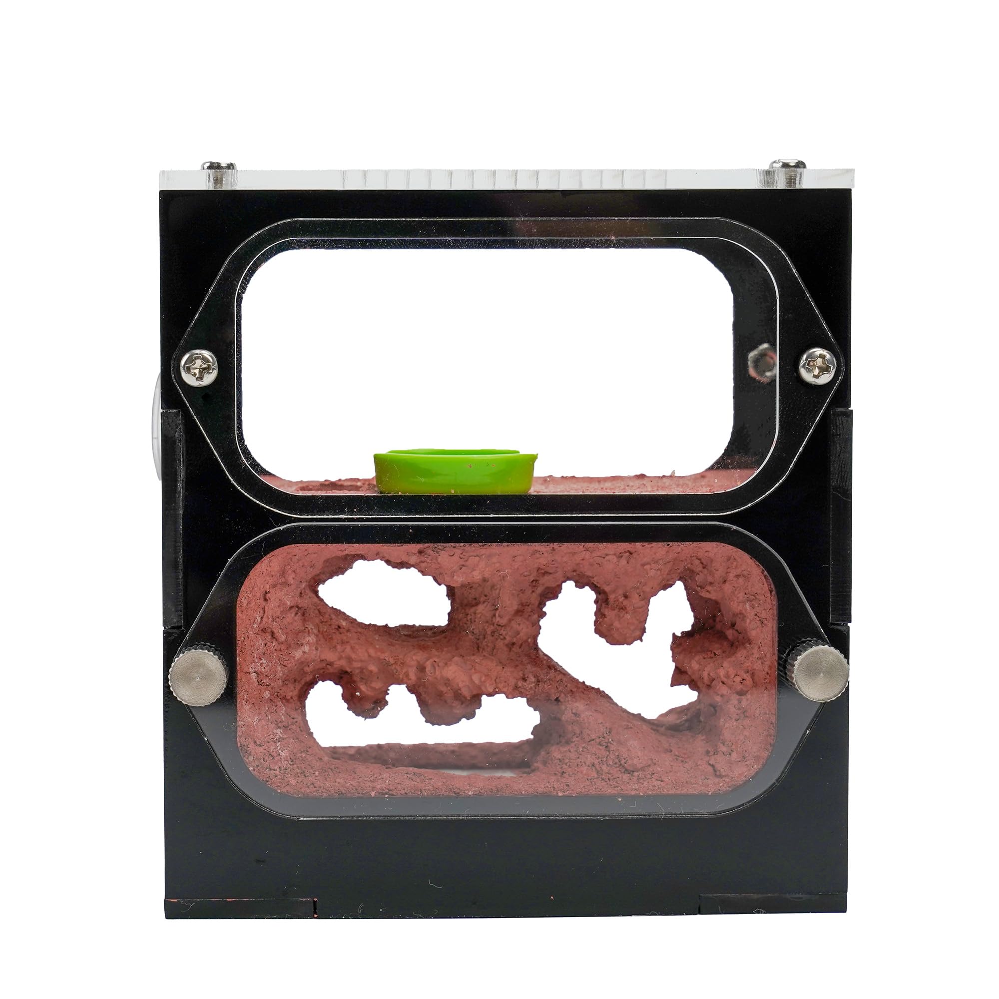 Terra Core Series – DualView S Ant Farm for Live Ants, Small Colony Acrylic Formicarium with Outworld, Beginner Ant Nest Habitat for Observation — view 4