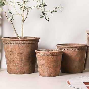 新品・未使用・珍しい☆香蘭社 多用鉢 深鉢ガーデン 陶器製 箱