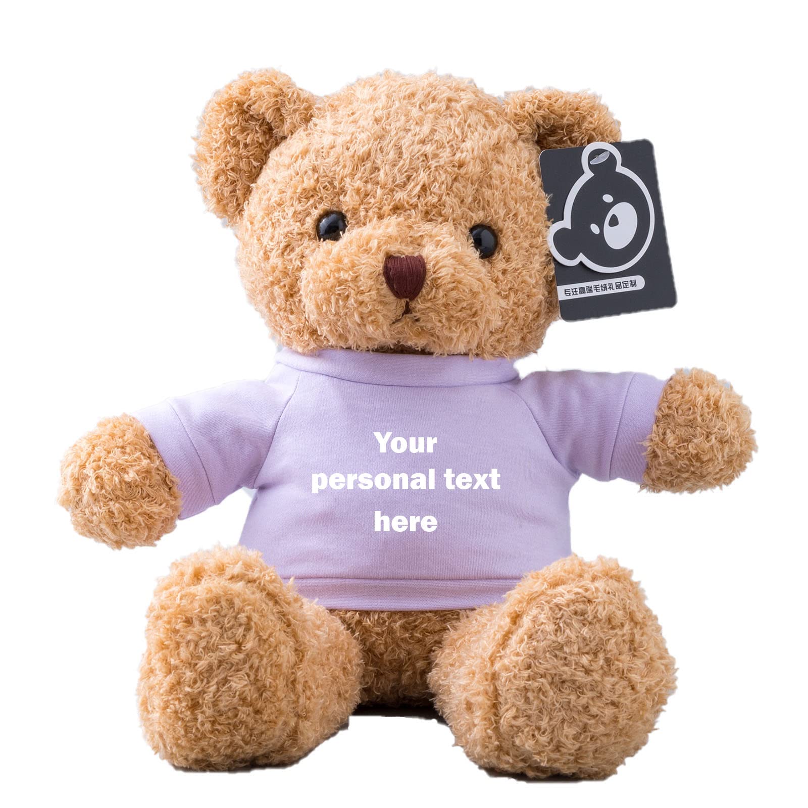ADORSUN Personalised Teddy Bear Stuffed Animal with Customised Text, Stuffed Bear as Personalised Gift for Women/Men on Valentines' Day/Birthday/Anniversary 12inch-T Shirt-Purple