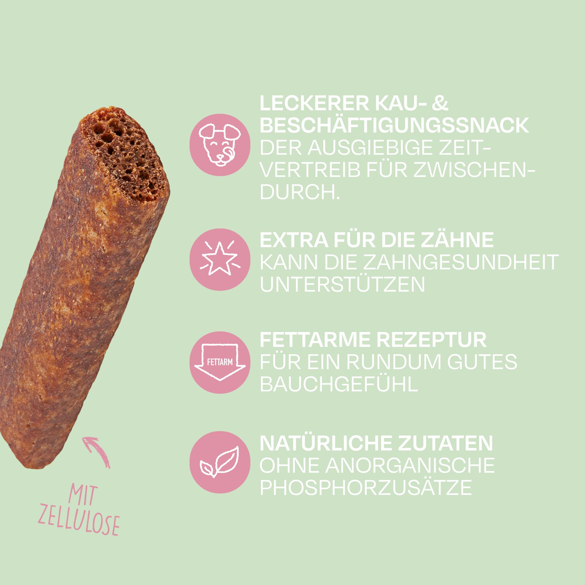 VEGDOG Dentals XL hypoallergene Kausticks für große Hunde (12 x 100 g) | fettarmer Kauspaß für gesunde Zähne | Zahnpflege für Allergiker mit Kartoffel und Tapioka