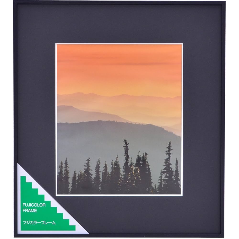 5枚セット　FUJICOLOR フジカラー ブラック　アルミ額縁 A300 半切 5枚セット FUJICOLOR フジカラー ブラック アルミ額縁 A300 半切