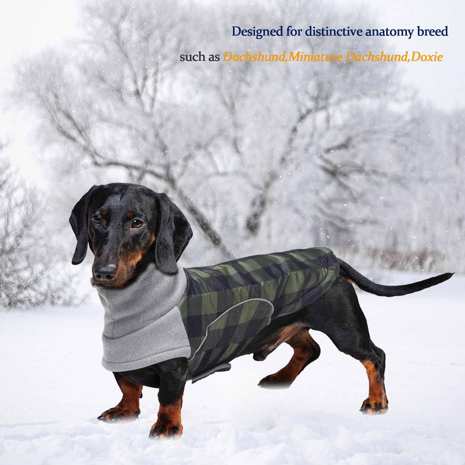 babepet Waterproof Small Dog Winter Coat,Dachshund Coat Clothes,Miniature Dachshund Jacket,Pet Garment Ideal for Walking,Hiking,Camping-Green Plaid-M - Image 2