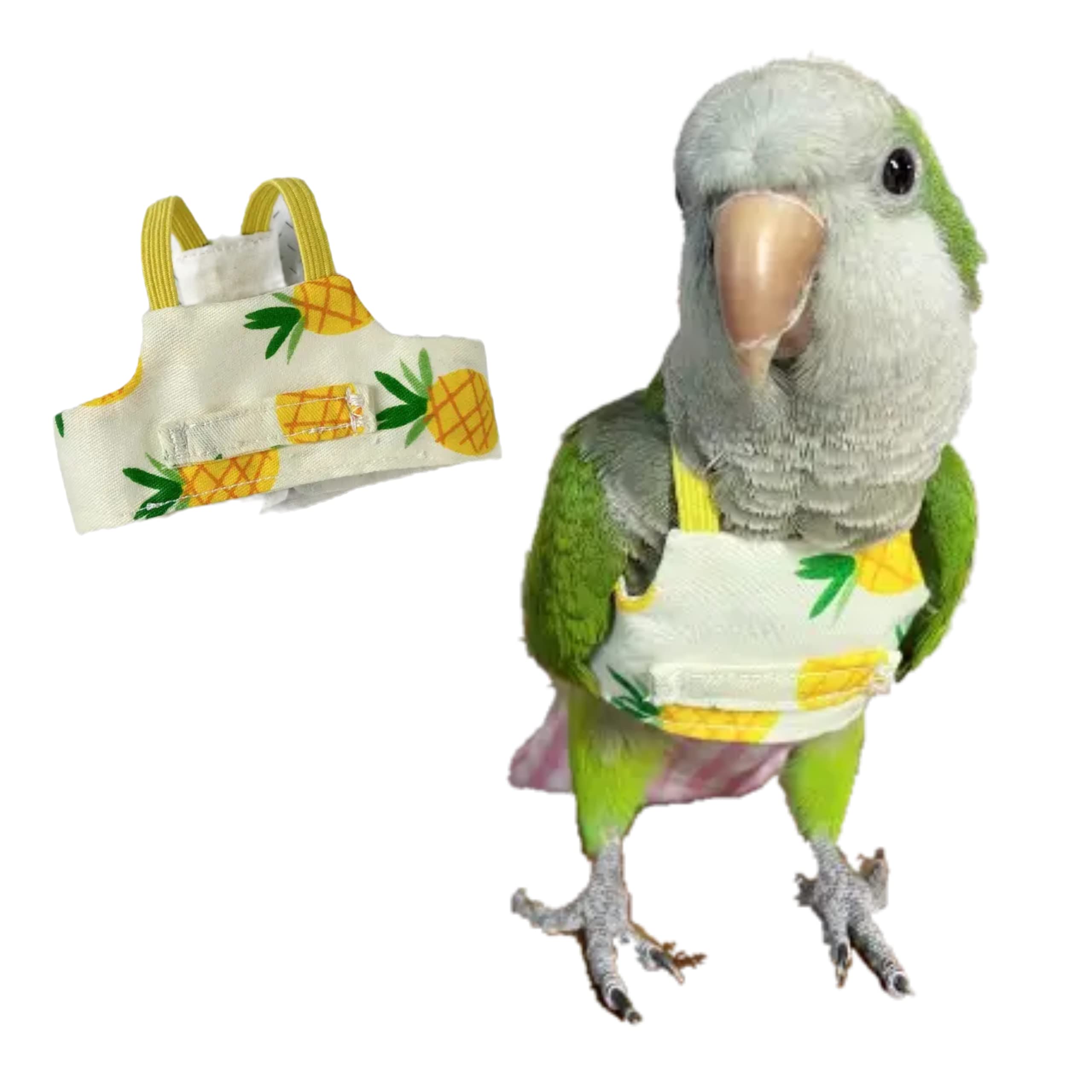 10 Best Budgie Bird Harnesses for Safe and Comfortable Outdoor