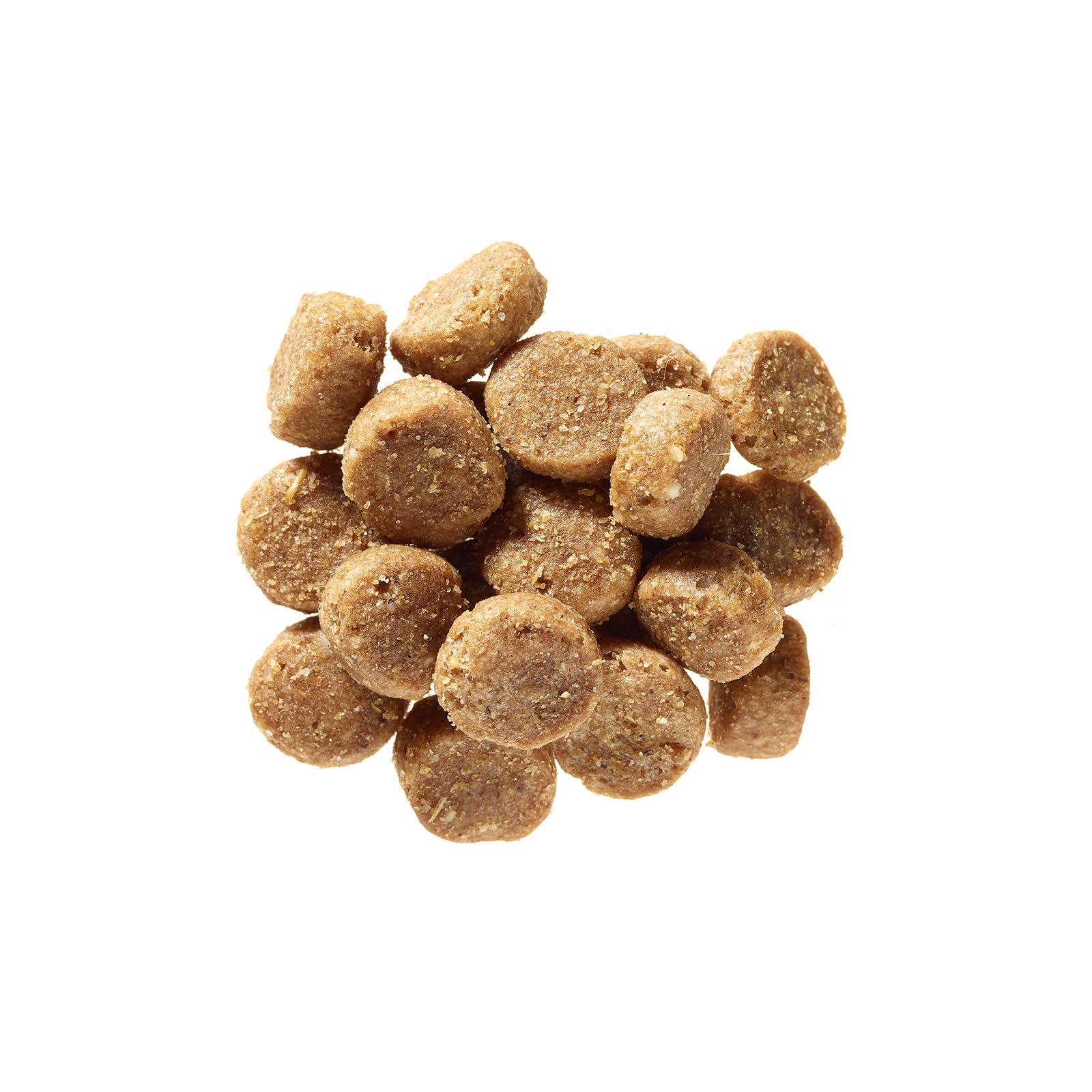 defu Hundefutter | 2 x 12,5 kg | Multipack Senior Bio Geflügel | Premium Bio Trockenfutter für ältere Hunde