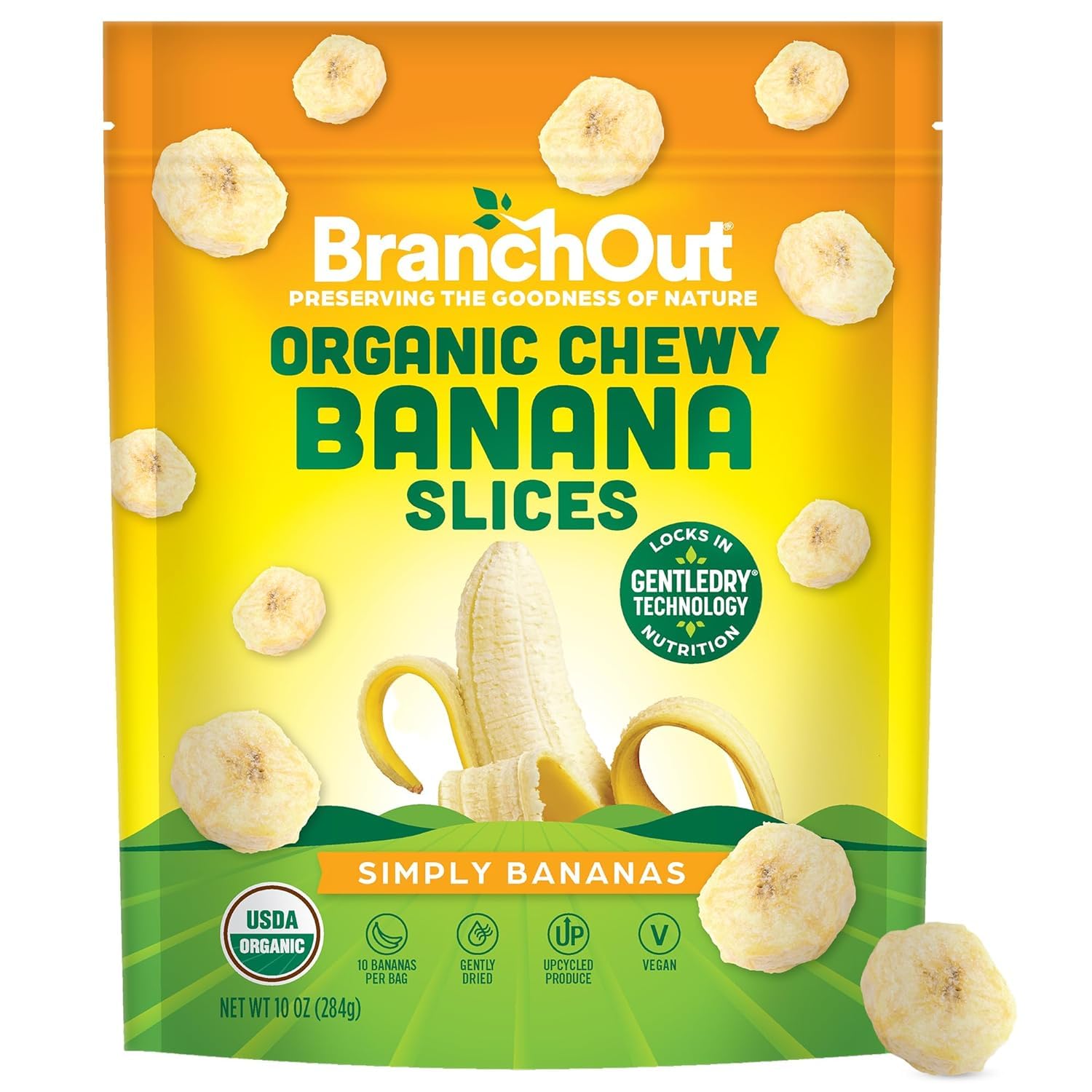 BranchOuts Chewys Banana Slices, No Sugar Added, GentleDry Locks in Nutrition, Better than Freeze Dried Banana Chips, Healthy Vegan Halloween Fruit Snacks for Kids & Adults, 10 oz Party Bag - Image 1 of 6