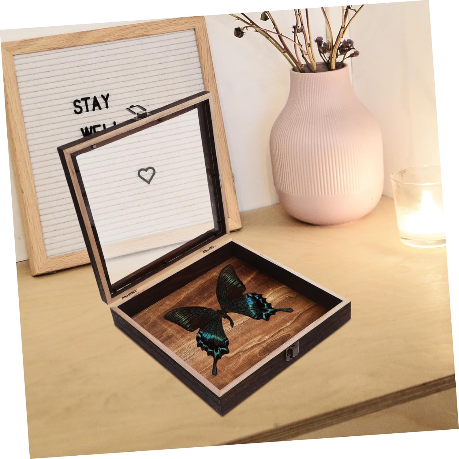 Butterfly Framed Shadow Box Memory Display Case Specimen Storage Display Box for Collectors