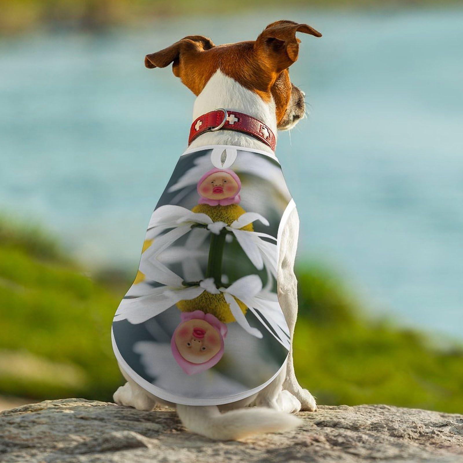 Amazon | こびとづかん 1 ペット服 犬の服 犬猫洋服 Tシャツ 愛犬 小型