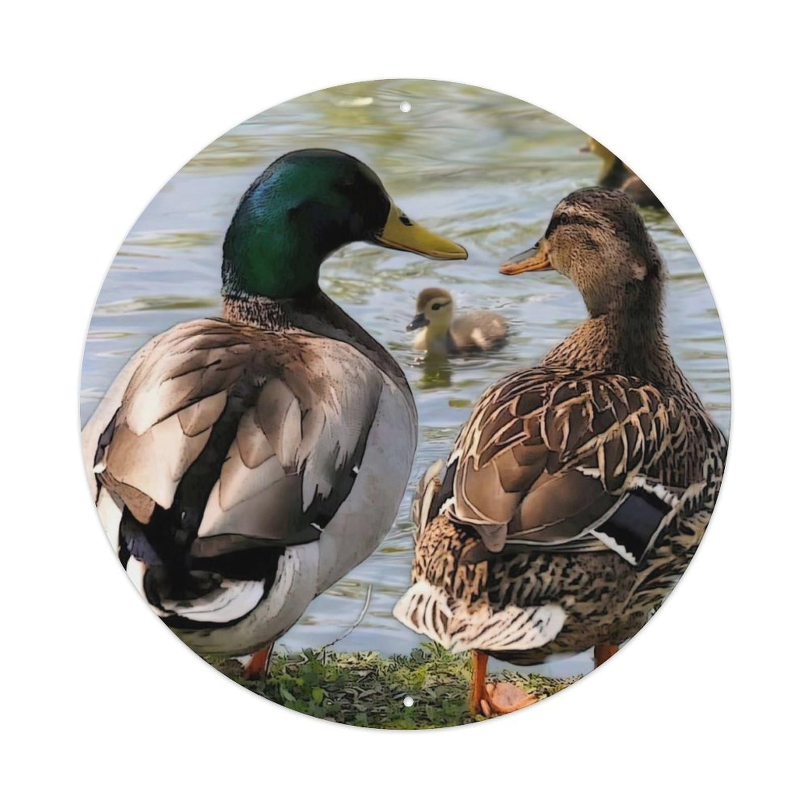 Animal Grass Duck Vintage Metal Tin Sign Plaque Wall Decor for Cafe, Club Bar, Office, Garden Metal Poster 8x8Inch