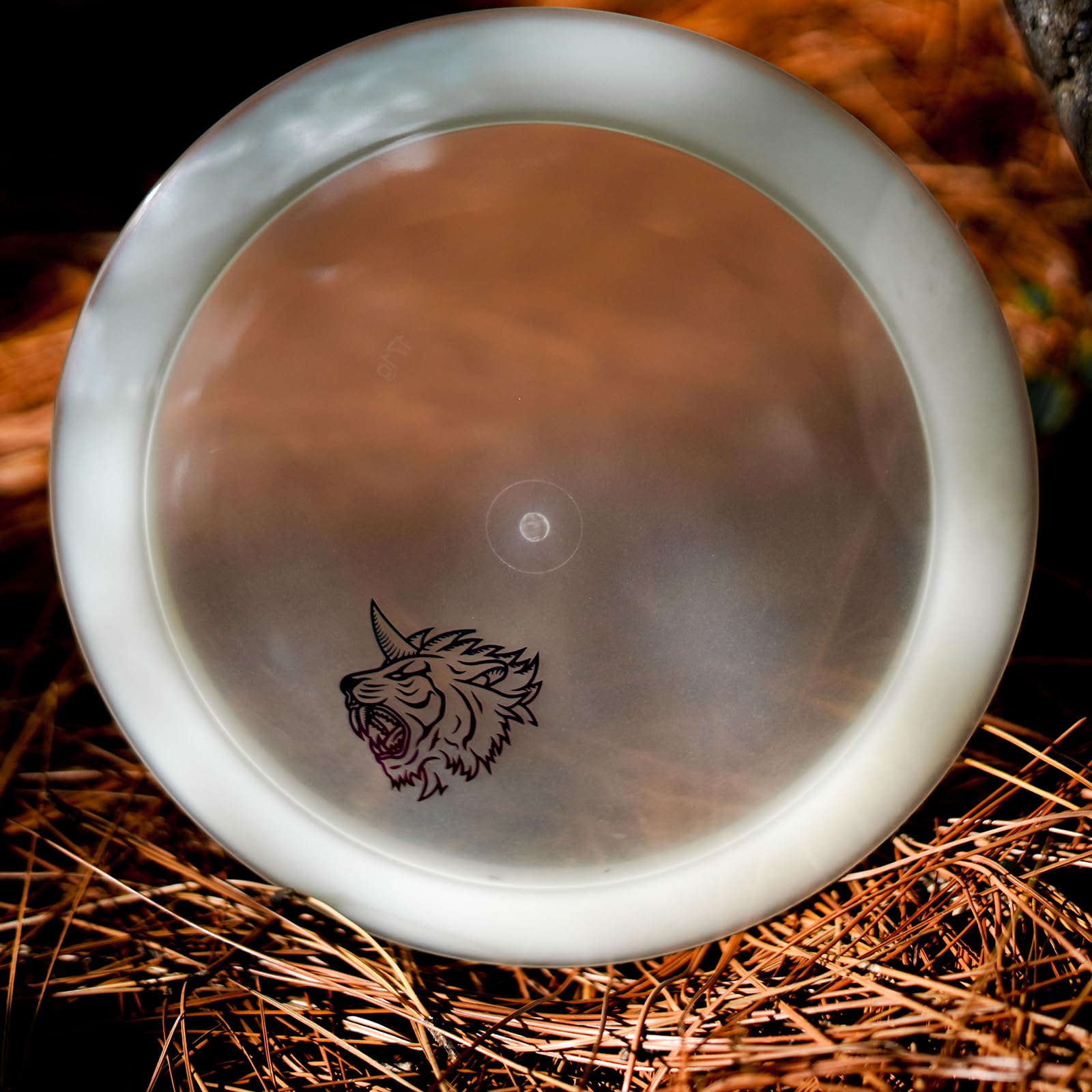 best disc golf driver